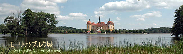 湖の中に立つモーリッツブルク城